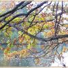 herbst_am_see