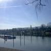 Bootshafen am Rhein !!!