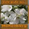 Hohenberg5