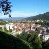 Blick auf Freiburg vom Biergarten