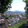 Blick auf Freiburg vom Biergarten