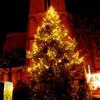Weihnachtsbaum-Kirche-480