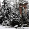 Winterzauber im Kurpark Wiesbaden