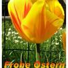 Frohe_Ostern_