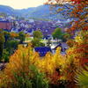Herbst in Hohenlohe