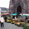 mein Freiburg 2007