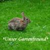Kaninchen_Gartenfreund_400x300