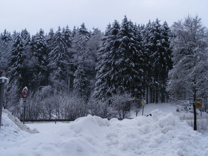 Tiefster Winter am Teuto 03022010 002.jpg