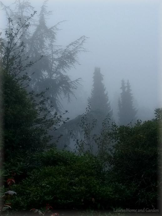 nebel01.jpg