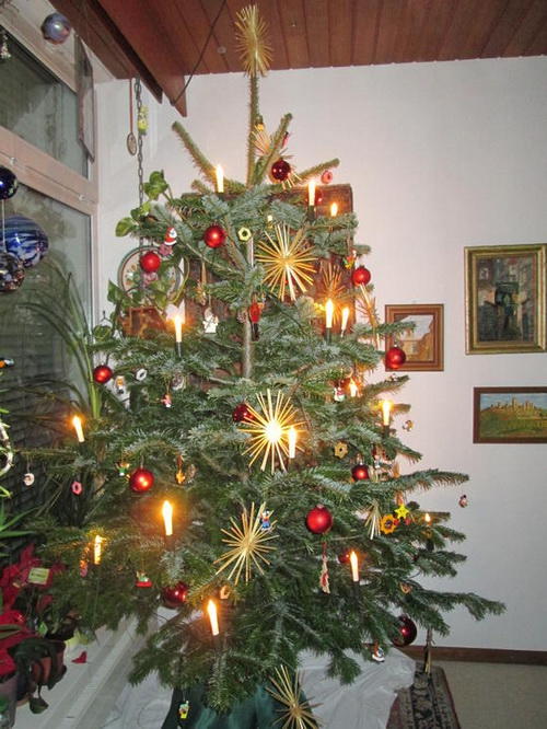 Hade Weihnachtsbaum.jpg