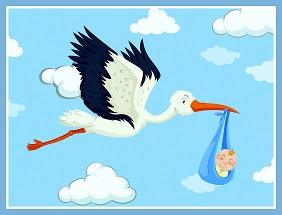 Storch mit Baby-2.jpg