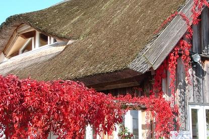 Herbst in Neeberg.jpg