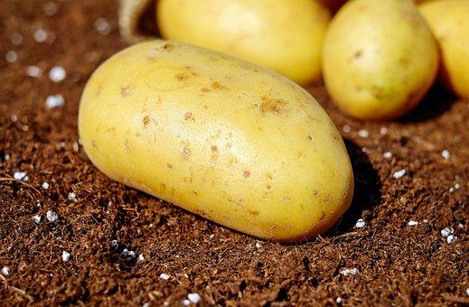 potatoes-1585057__340.jpg