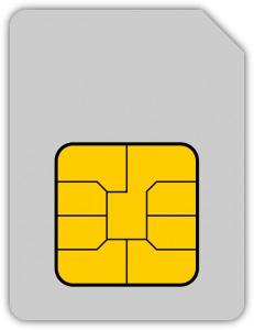SIM-Karte-231x300.jpg