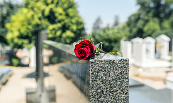 Freepik_rose-in-a-cemetery-with-headstone_serdjophoto.jpg