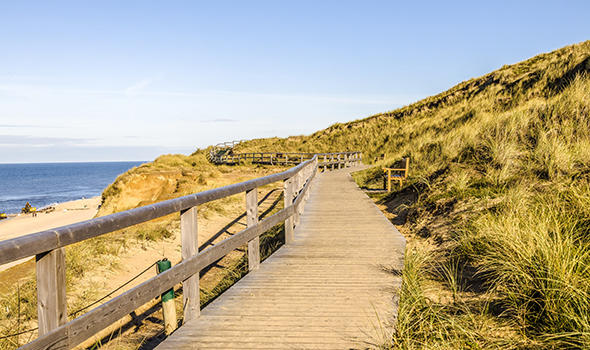 Freepik_beautiful-shot-of-a-wooden-path-in-hills-at-the-shore-of-the-ocean-in-sylt-island-in-germany_wirestock.jpg