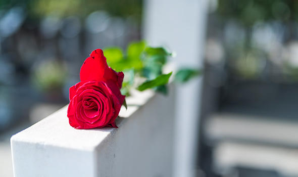 Bestattungsvorsorge_Freepik_red-rose-on-the-tombstone_Dragana_Gordic.jpg