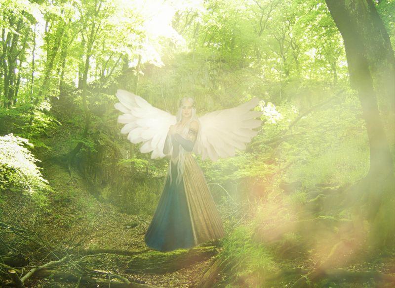 Engel im Wald mit Bokeh gemacht.jpg