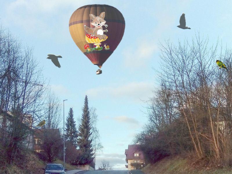 Ballon in Pegnitz gesichtet.jpg
