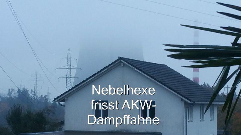 Nebelhexe frisst Dampffahne, jpg.JPG