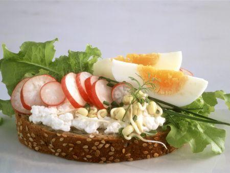 whole-wheat-toast-with-cottage-cheese-radish-sprouts-and-egg-586124.jpg