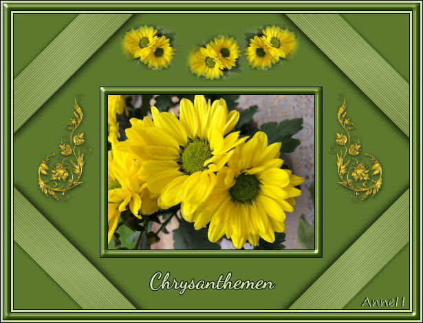 Chrysanthemen.jpg