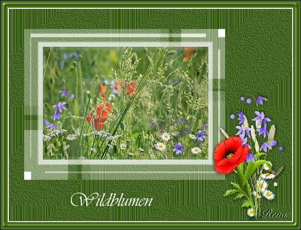 Wildblumen2107 (2).jpg