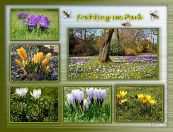 Frühling im Park Filter Stylize  Motion  Trail Wild.jpg