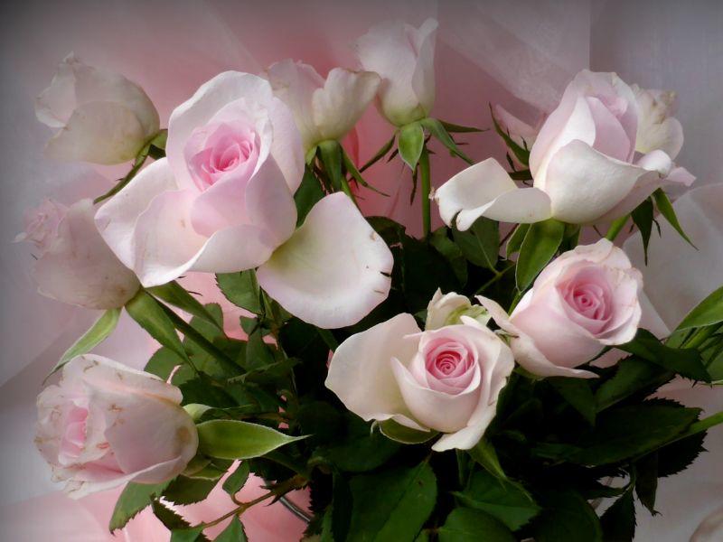 Vasen mit Blumen5.jpg