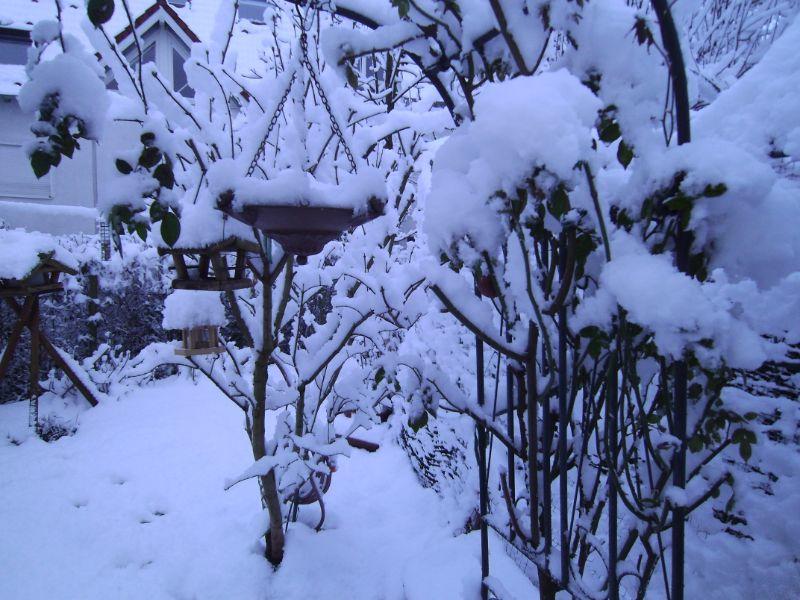 Garten im Schnee.JPG