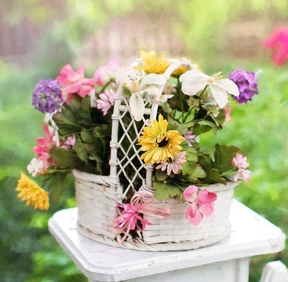 flower-basket-2358827_960_720 (3).jpg