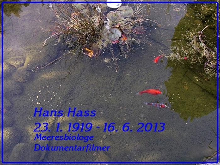 Hass, Hans1.jpg