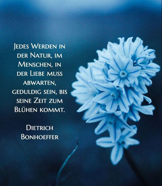 Bonhoeffer, Dietrich.jpg