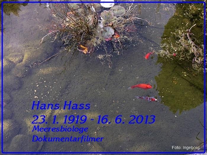 Hass, Hans1.jpg