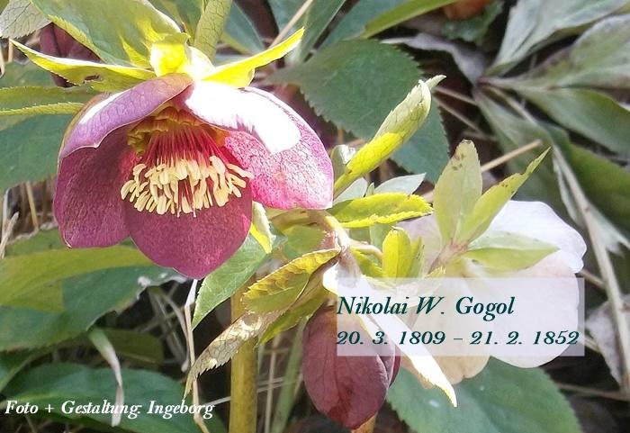 Gogol, Nikolai W.-DSCF6683.JPG