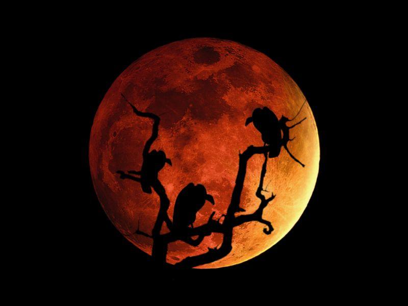 blood_moon_by_midnightstouch.jpg