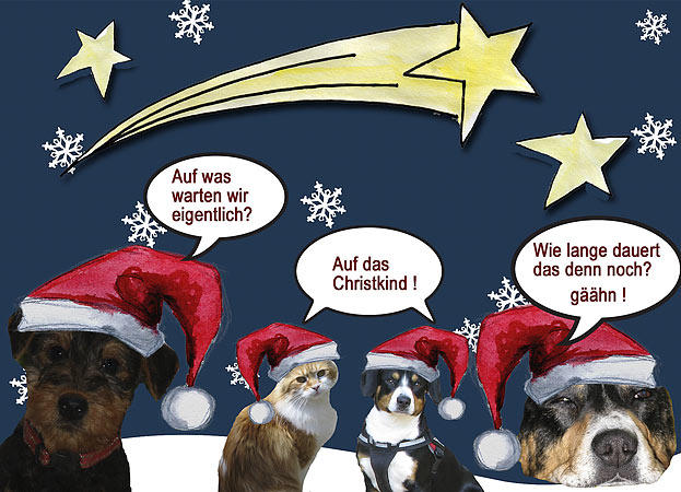 2014_erster_Advent_Hundeweihnacht-2-web-450x69.jpg