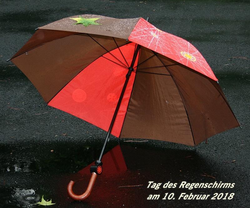 Regenschirm 10-02-2018.jpg