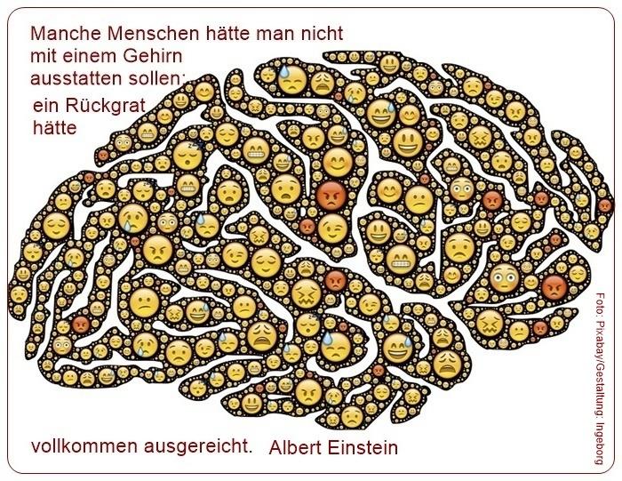 Einstein, Albert, Gehirn.jpg