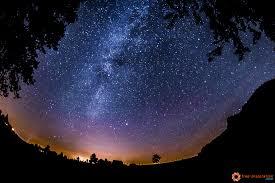 Bildergebnis für wald sternenklare nacht pic free