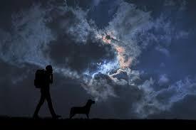Mann Hund Silhouette - Kostenloses Foto auf Pixabay